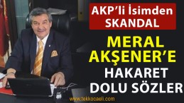 AKP’li İsimden Meral Akşener’e Hakaret Dolu Sözler