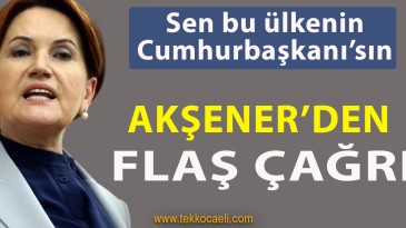 Cumhurbaşkanı Erdoğan’a Flaş Çağrı