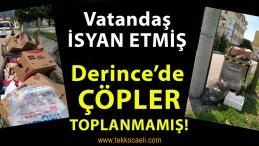 CHP’den Tepki; ‘Derince Belediyesi Kendini Karantinaya mı Aldı?’