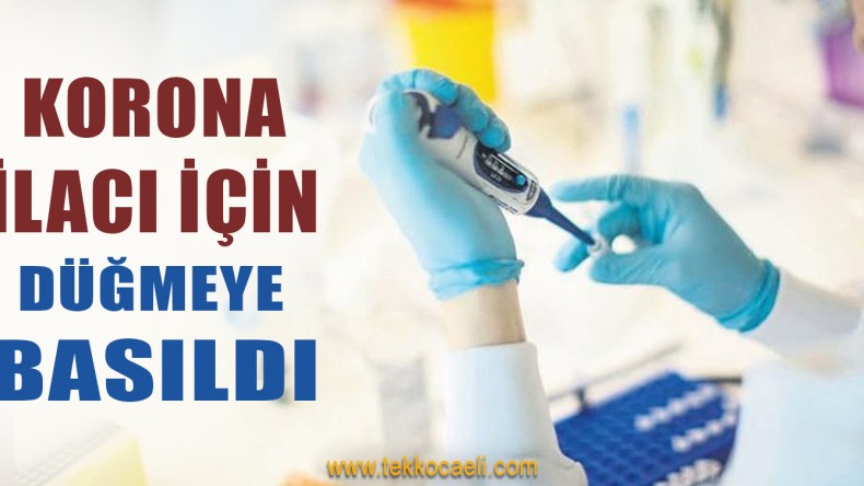 Korona İlacı İçin Harekete Geçildi