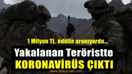 1 Milyon TL. Ödülle Aranan Terörist Yakalandı