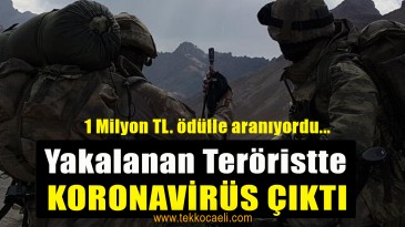 1 Milyon TL. Ödülle Aranan Terörist Yakalandı