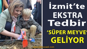 İzmit Belediyesi, Korona’ya Karşı ‘Süper Meyve’ Üretecek