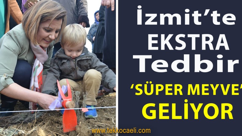 İzmit Belediyesi, Korona’ya Karşı ‘Süper Meyve’ Üretecek