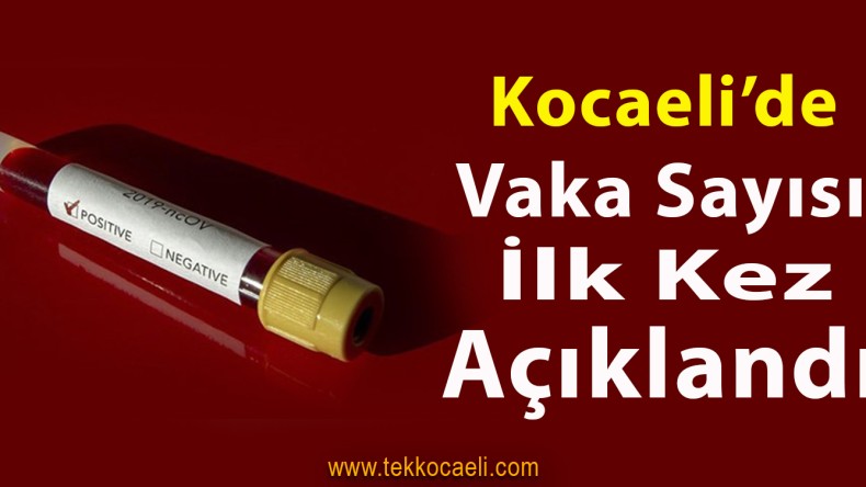 İl İl Koronavirüs Vaka Sayısı İlk Kez Açıklandı