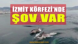 İzmit Körfezi’nde Muhteşem Anlar