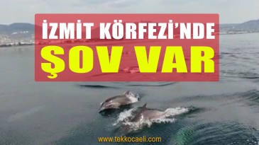 İzmit Körfezi’nde Muhteşem Anlar