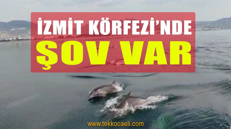 İzmit Körfezi’nde Muhteşem Anlar