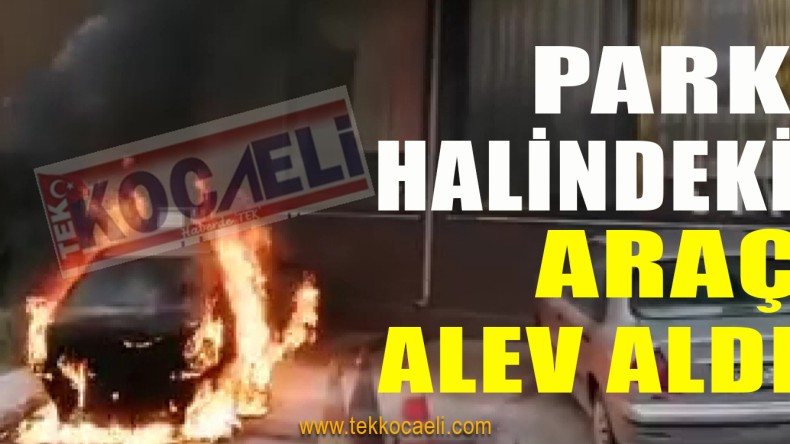 Park Halindeki Otomobil Alev Aldı