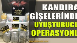 Kandıra Gişelerinde Operasyon