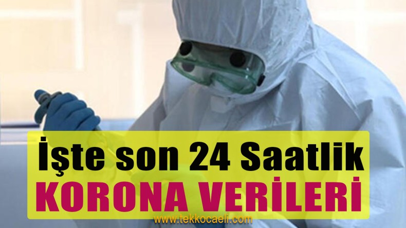 Korona Verileri Açıklandı