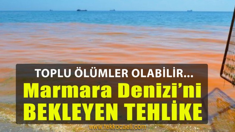 Marmara Denizi İçin Büyük Tehlike