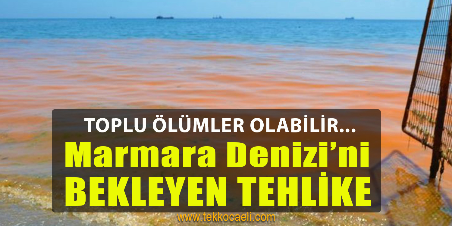 Marmara Denizi İçin Büyük Tehlike