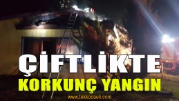 Kocaeli’de Korkunç Yangın