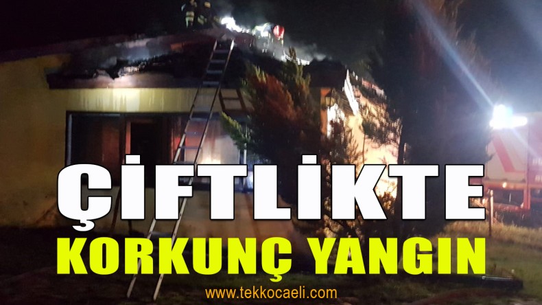 Kocaeli’de Korkunç Yangın