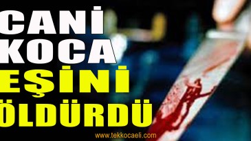 Eşini Bıçaklayarak Öldürdü