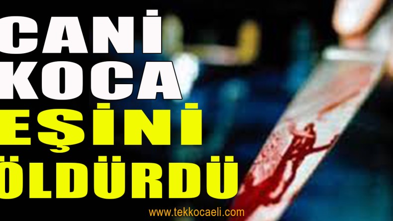 Eşini Bıçaklayarak Öldürdü