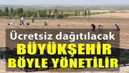 Ürünler İhtiyaç Sahibi Vatandaşlara Ücretsiz Dağıtılacak