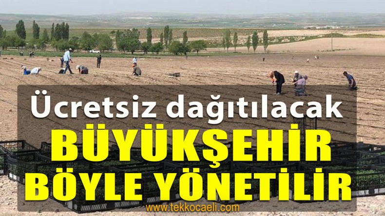 Ürünler İhtiyaç Sahibi Vatandaşlara Ücretsiz Dağıtılacak