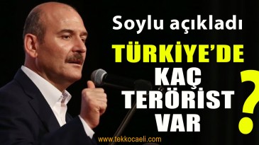 İçişleri Bakanı Soylu, Terörist Sayısını Açıkladı