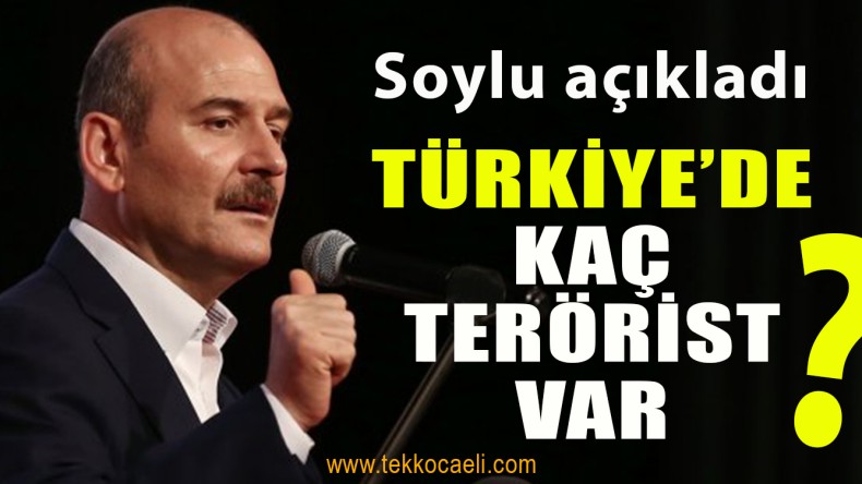 İçişleri Bakanı Soylu, Terörist Sayısını Açıkladı