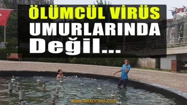 Bu Çocukların Aileleri Yok mu?