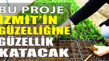 İzmit Belediyesi, Kentin Dört Bir Tarafına Sera Kuruyor