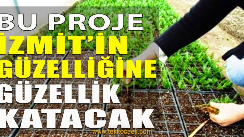 İzmit Belediyesi, Kentin Dört Bir Tarafına Sera Kuruyor