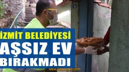 İzmit Belediyesi, İhtiyaç Sahibi Ailelerin Yüzünü Güldürdü