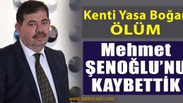 Mehmet Şenoğlu Hayatını Kaybetti