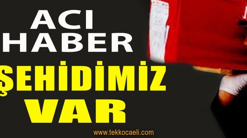 Şehidimiz Var Türkiyem