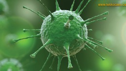 Bu Kanı Yanlış Dedi, Vatandaşı Uyardı