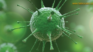 Bu Kanı Yanlış Dedi, Vatandaşı Uyardı