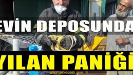 Yılan Korku Yarattı