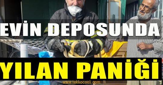 Yılan Korku Yarattı