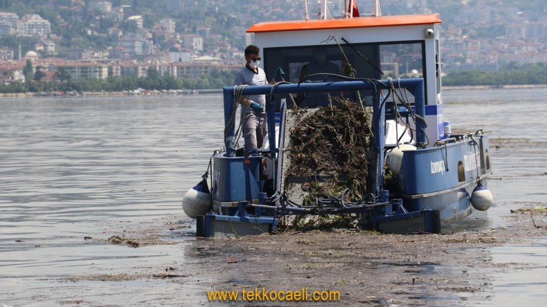 İzmit Körfezi’nden Rekor Atık Toplandı