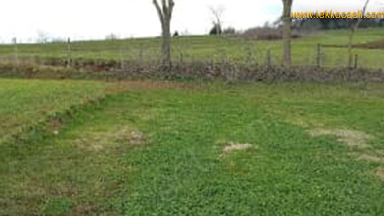 Kandıralı Muhtara Şok!