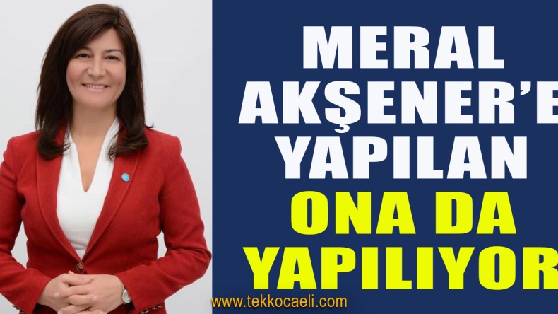 Kadın İl Başkan Adayına Sosyal Medya Üzerinden Saldırıyorlar