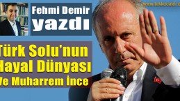 Türk Solu’nun Hayal Dünyası ve Muharrem İnce