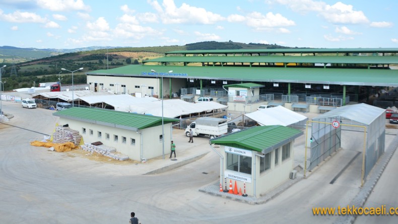 Kurbanlık Hayvan Satıcıları İçin Ön Kayıtlar Başlıyor