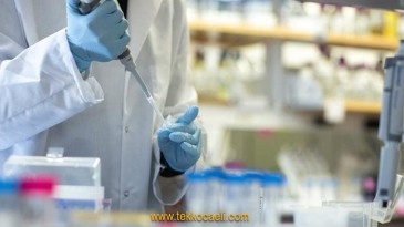 En Fazla Vaka Olan İlleri Açıkladı ve Uyardı