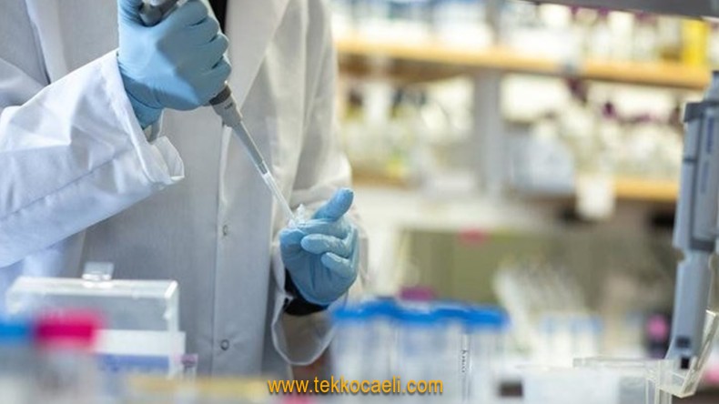 En Fazla Vaka Olan İlleri Açıkladı ve Uyardı