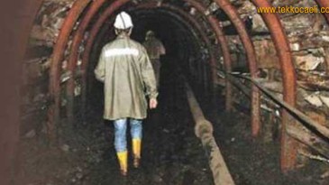 Parmağı Kopan Maden İşçisi Kocaeli’ye Getirildi