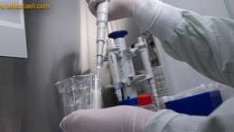 Koronavirüs’te Yeni Dönem; Artık Bu da Var