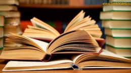 Kocaeli’de Okuryazar Sayısı Açıklandı