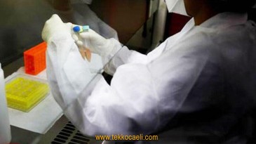 Kurban Bayramına Sayılı Günler Kala Kritik Uyarı