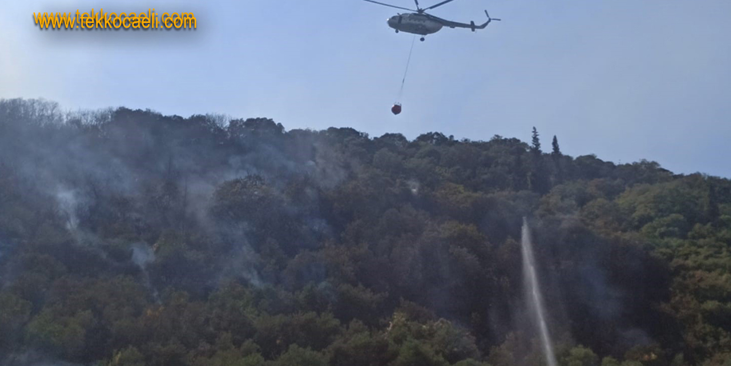 Halıdere’deki Orman Yangınında 1 Kişi Gözaltına Alındı