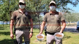 Doğa ve Hayvanları Koruma Büro Amirliği Kuruldu