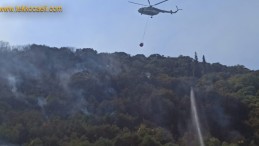 Gölcük Halıdere’de Orman Yangını