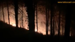 Başiskele Yuvacık’ta Korkutan Yangın